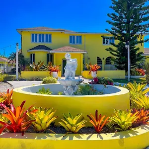 Golden Palms House Bed & Breakfast